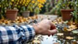 Gros plan d'un moustique tigre rayé noir et blanc sur un avant-bras humain dans un jardin en automne, feuilles mortes et pot de fleurs en arrière-plan