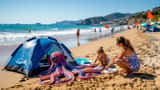 Physalie (galère portugaise) échouée sur plage atlantique avec drapeaux d'avertissement, Pays basque 2026
