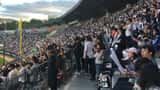 Aficionados de béisbol coreano en el estadio Jamsil de Seúl durante un partido de la KBO