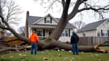 Homeowner assessing damage from a tree fallen on house roof after wind storm