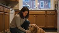 Femme québécoise examinant attentivement son golden retriever allongé sur le sol de sa cuisine à Montréal, trousse de premiers secours ouverte à ses côtés