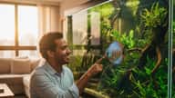 Aquarista brasileiro observando peixe Discus em aquário plantado iluminado na sala de estar em São Paulo