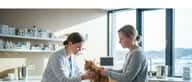 Veterinær undersøker en oransje katt på undersøkelsesbordet mens eieren ser på i en moderne norsk dyreklinikk