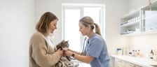 Dyrlæge undersøger en kat med stetoskop i en lys dansk klinik mens ejeren holder katten