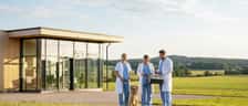 Svensk veterinär i vit rock som undersöker en golden retriever på ett undersökningsbord i en modern skandinavisk veterinärklinik