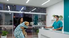 Tutora chegando com cão em clínica veterinária 24h à noite em São Paulo