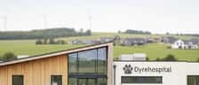 Dansk dyrlæge i hvid kittel undersøger en golden retriever på et moderne dyrehospital