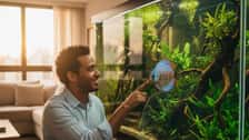Aquarista brasileiro observando peixe Discus em aquário plantado iluminado na sala de estar em São Paulo
