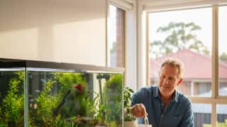 Fish and Aquariums: the complete guide for Australian hobbyists in 2026