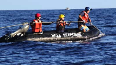 Rettungsteam bei der Bergung eines gestrandeten Wals im Meer
