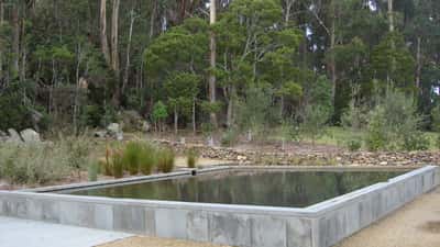 Port Arthur 30 Years On: How Trauma Experts Help Survivors and Communities Heal