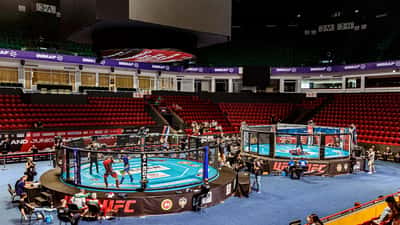 Combate de MMA no UFC Championship 2021, dois lutadores em confronto no octógono