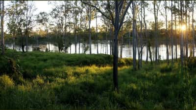 Brisbane Weather 2026: How to Protect Your Home After Queensland's Brutal Storm Season
