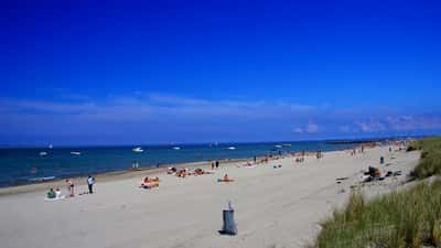 Hornbæk strand på en sommerdag med baders og blåt hav i baggrunden
