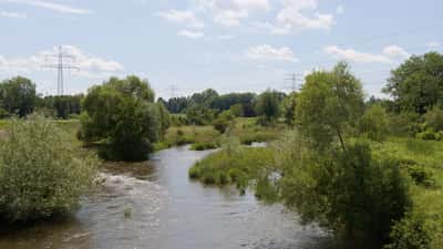 Die Mattig bei Braunau am Inn – der Fluss trocknet im Sommer 2026 aus und gefährdet Wildtiere