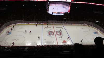 Ottawa Senators hockey game at Centre Bell showing NHL players during live action