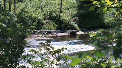Pine Point Rapids flowing through Whiteshell Provincial Park, Manitoba