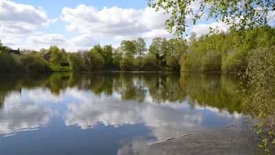 Swanholme Lakes Drowning: What Australian Councils Must Do at Public Lakes and Your Legal Rights
