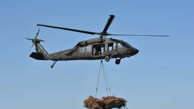 Louisiana National Guard members working on coastal wetland restoration in the marshes