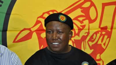 Julius Malema Jailed for Firearms Offence: What the Criminal Appeals Process Means for UK Law