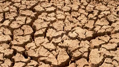 NSW Had Its Second Driest April Since 1900: What Australian Homeowners Need to Do Now