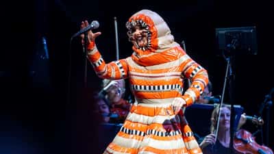 Björk á tónlistarhátíð — bakgrunnur fyrir Echolalia sólmyrkvahátíð á Íslandi 12. ágúst 2026