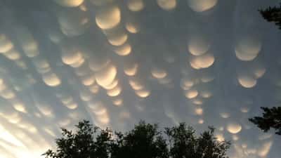 Nuages mammatus annonciateurs d'orage dans le ciel de la Saskatchewan lors d'une alerte de tornade