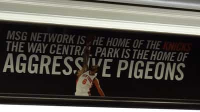 Knicks in de NBA Finals: wat u moet weten over sportweddenschappen in Nederland