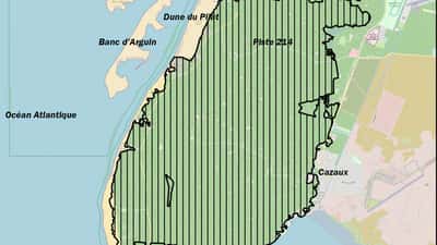 Luftbillede af skovbrand i pinjeskov nær Gironde, Frankrig, med tyk orange røg