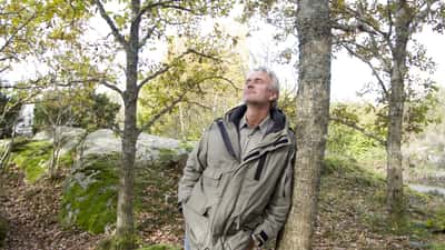 Harald Treutiger på scenen 2011, folkkär TV-programledare som fyller 70 år 2026