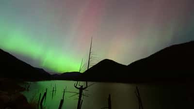 Aurora borealis green lights over Earthquake Lake, Montana, photographed by the USDA Forest Service