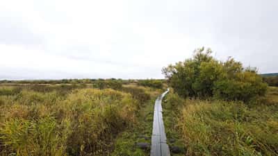 Suomi Naton ytimessä: mitä Rovaniemen johtokeskus tarkoittaa yrityksesi kyberturvallisuudelle?