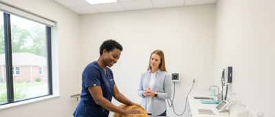 How to Find a Veterinarian Near You: A Complete Guide