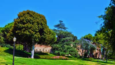 The DOJ Found UCLA's Med School Broke Admissions Law: 4 Rights Every Rejected Applicant Should Know