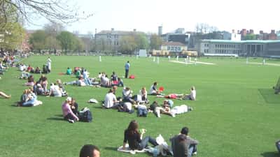 Cricket match in progress at a ground in Dublin, Ireland