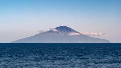 Hantavirus på krydstogt fra Tristan da Cunha: hvad hæfter rederiet for?