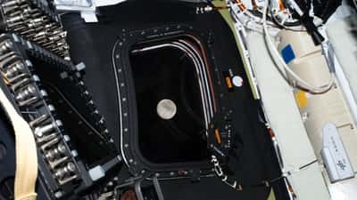 Back from the Moon: What Artemis II's Historic Return Teaches Businesses About IT Resilience