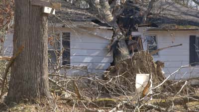 Casa danneggiata da un albero caduto durante una tempesta