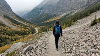 Alpine Divorce : quand le droit canadien protège les victimes d'abandon en montagne
