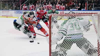 Ishockeyspelare på isen under en SHL-match