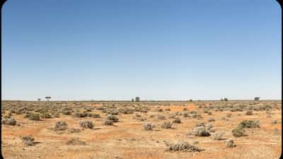 Empty red-dirt highway stretching through the Northern Territory outback scrub at dusk