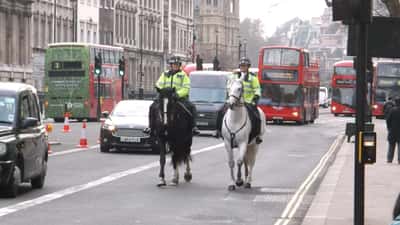 UK Terrorism Alert Raised to Severe: 5 Things Every UK Employer Must Do Now