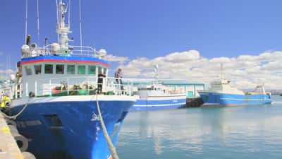 Reykjavíkurhöfn með togara og fiskveiðiskip — arfleifð þorskastríðsins