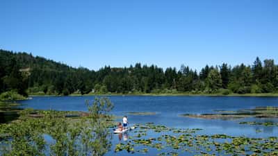 Paddleboard sur un lac de montagne en été au Canada, eau calme et ciel bleu