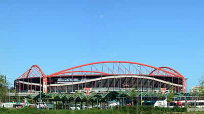Benfica vs Braga: o que a Champions League vale realmente em euros para jogadores e clubes