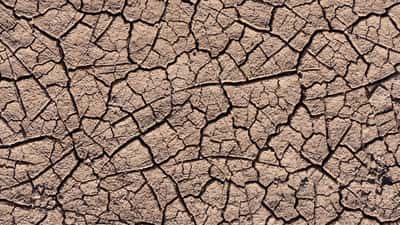 Sol argileux craquelé par la sécheresse, illustrant le manque d'eau en Suisse durant l'été 2026