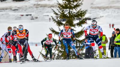 Heidi Weng tävlar i FIS längdskidåknings World Cup i Seefeld 2018
