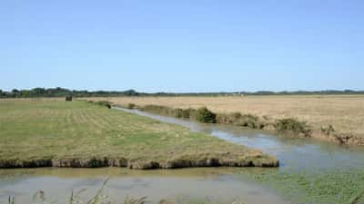 Terres agricoles françaises vues en hauteur, illustrant la révision de l'indice des fermages 2026