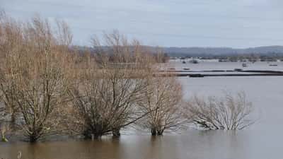 Somerset Flooding 2026: Can You Claim Compensation — and Who Is Legally Responsible?