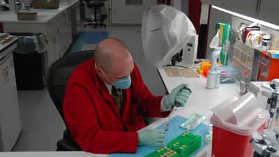 Silent Witness 2026: What Forensic Drama Gets Right — and What Every Australian Should Know About Real Criminal Courts